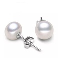 Korean version pearl earrings cupronickel temperament pearl ear jewelry wholesalepicture13